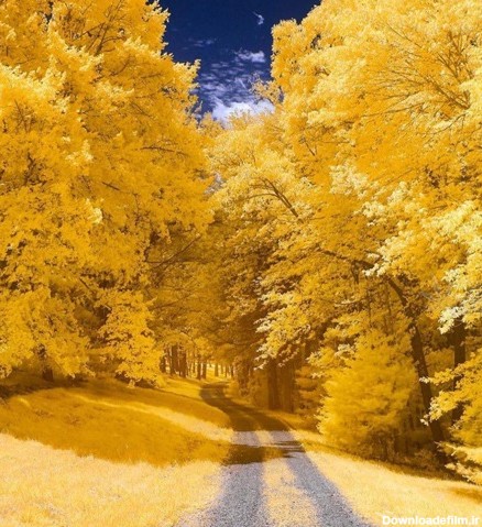 طبیعت زیبای پاییزی که هزاران نفر آن را می‌بینند (عکس)