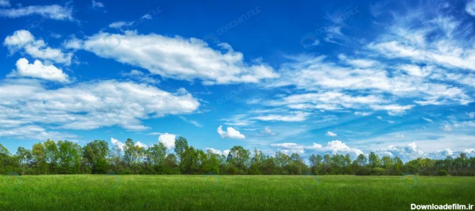 استوک درخت و چمن های سرسبز با آسمان آبی - مرجع دانلود فایلهای دیجیتالی