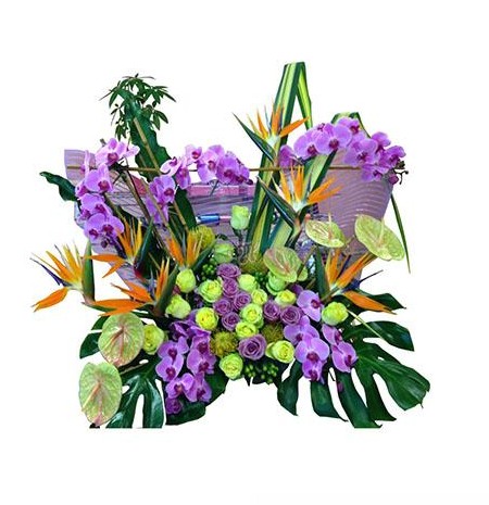 خرید گل تازه - گل خواستگاری لیلی و مجنون - Proposal Flower | گل آف