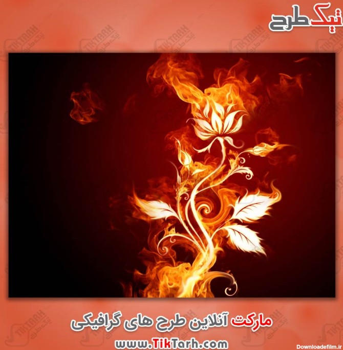 دانلود عکس گل آتشی | تیک طرح مرجع گرافیک ایران