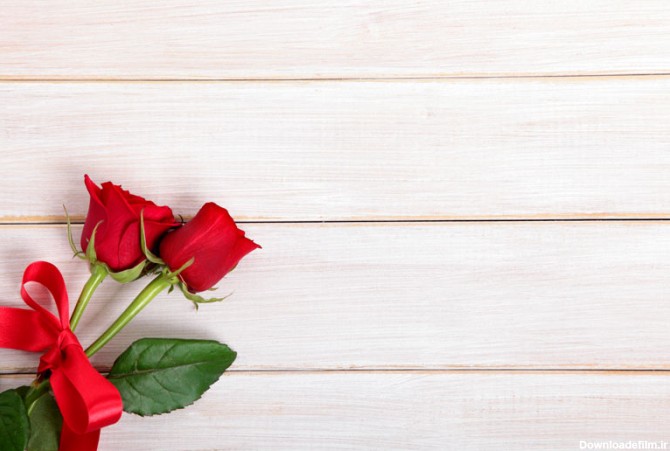 عکس با کیفیت دو گل رز قرمز زیبا روی میز چوبی با روبان قرمز ...