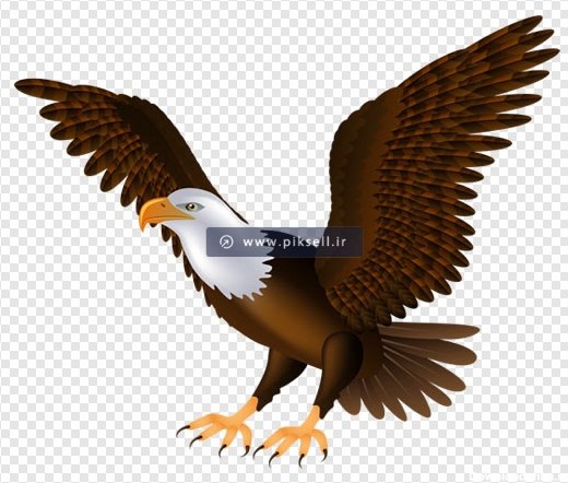 فایل png عقاب کارتونی در حال پرواز بصورت دوربری شده