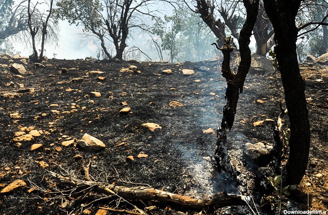 فرارو | (تصاویر) آتش‌سوزی در جنگل‌های ایلام