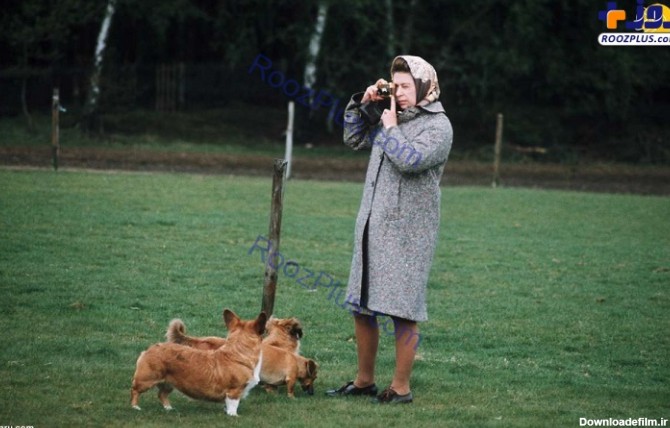 ملکه انگلیس و سگ‌ مورد علاقه‌اش + تصاویر | روزنو