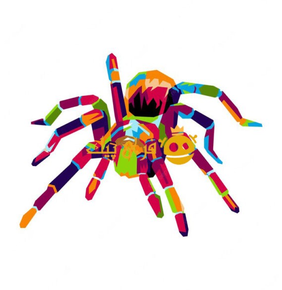 تصویر عنکبوت رنگارنگ در پس زمینه سفید
