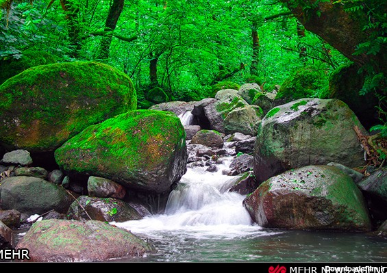 تصاویر زیبای طبیعت شمال ایران
