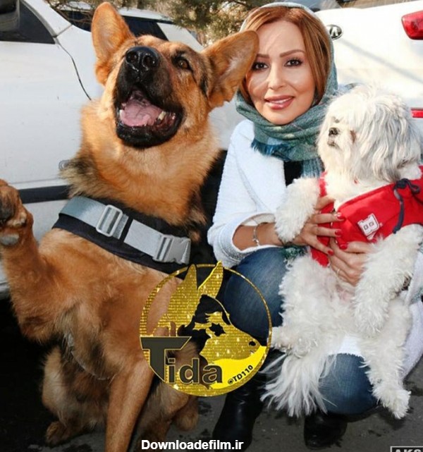 پرستو صالحی به همراه سگ معروف (۳ عکس) - عکسیاتو | عکس بازیگران