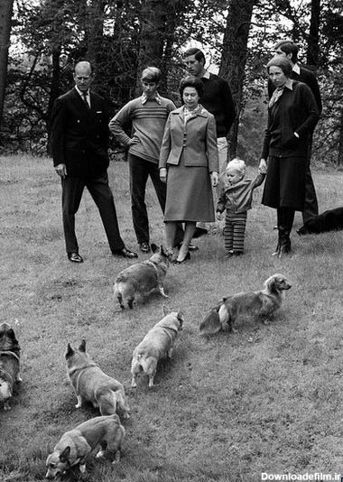 گزارش تصویری BBC از سگ های "ملکه" به مناسبت مرگ یکی از آنها!