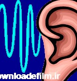 گوش انسان از چه قسمتهایی ساخته شده - آموزش های علمی برای کودکان
