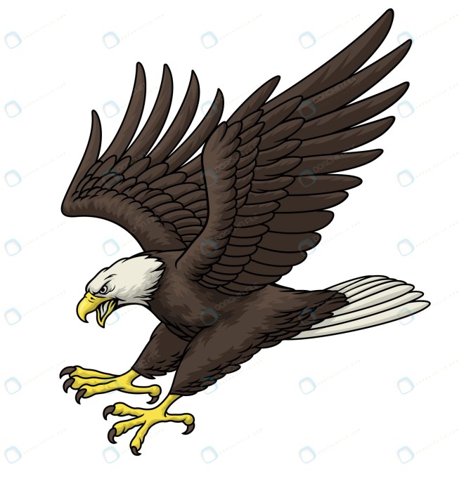 عکس نقاشی عقاب حرفه ای