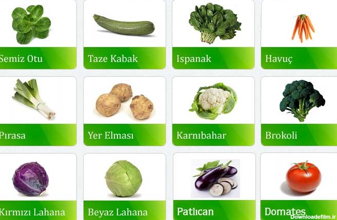 میوه ها و سبزیجات به زبان ترکی استانبولی با ترجمه