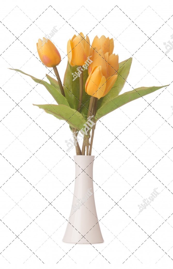 عکس گلدان سفید و گل زرد