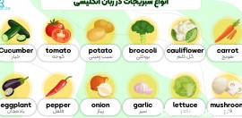 انواع خوراکی‌ ها در زبان انگلیسی | لیست کامل لغات - آکادمی روان