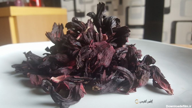 بذر چای ترش قرمز -رزچینی (Hibiscus sabdariffa)-گلس گاردن