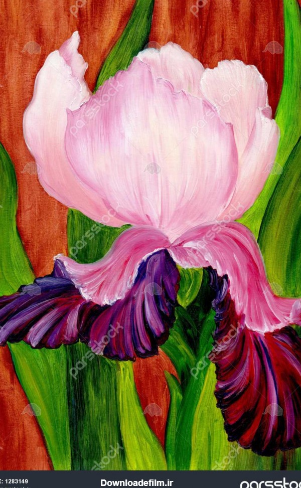 جنس زنبق و سوسن نقاشی رنگ و روغن روی بوم 1283149