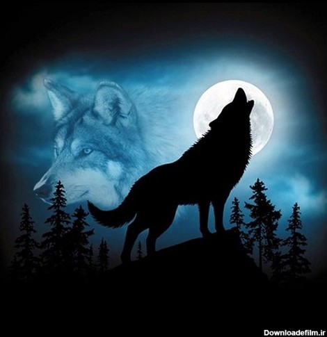 عکس گرگ و ماه + تصاویر زیبا از گرگ و ماه برای پروفایل | گرگ ...