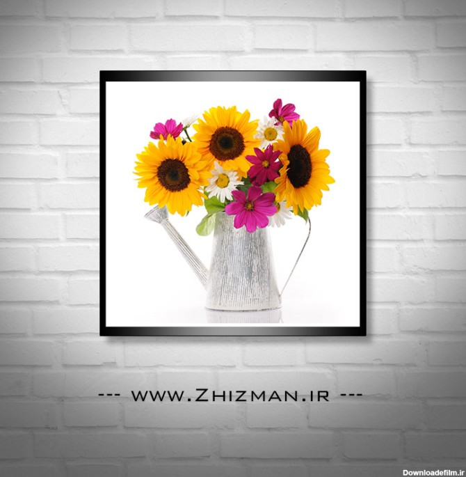 عکس گل آفتابگردان در گلدان
