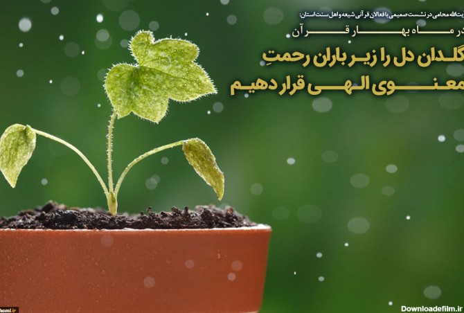 در ماه بهار قرآن گلدان دل را زیر چتر باران رحمت الهی قرار دهیم 2 ...