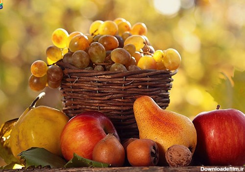 میوه های پاییزی کدامند؟