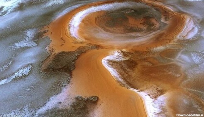 فرارو | (عکس) صدا پای بهار در مریخ شنیده شد