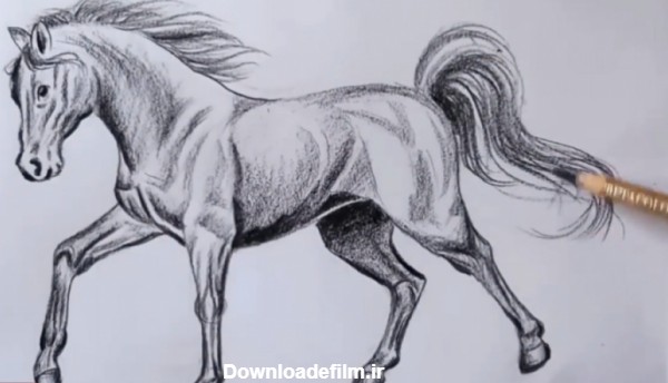 آموزش طراحی اسب حرفه ای