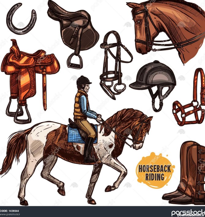 اسب سواری ورزش سوارکاری و تجهیزات تجهیزات برای حیوانات زین برنز ...