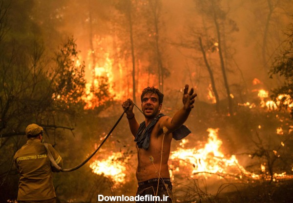 یونان در آتش به روایت تصویر؛ جنگل هایی که خاکستر شد - ایرنا