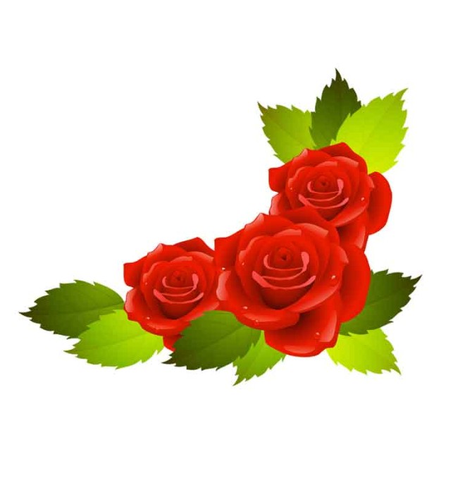 طرح کلیپ آرت گل های رز سرخ