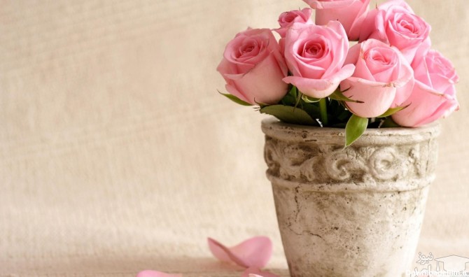 زیباترین متن ادبی در مورد گلدان