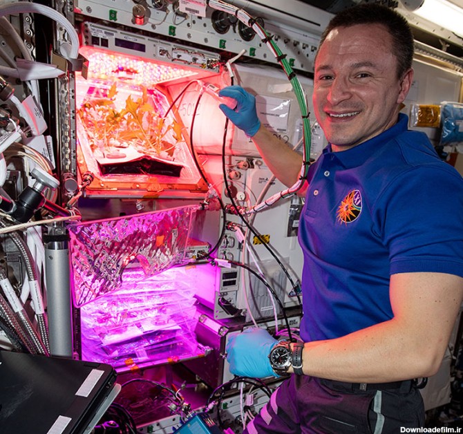 ایستگاه فضایی اندرو مورگان فضانورد کاشت گیاه با نور مصنوعی
