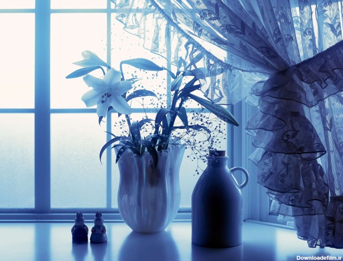 گلداني با گلهاي سفيد كنار پنجره