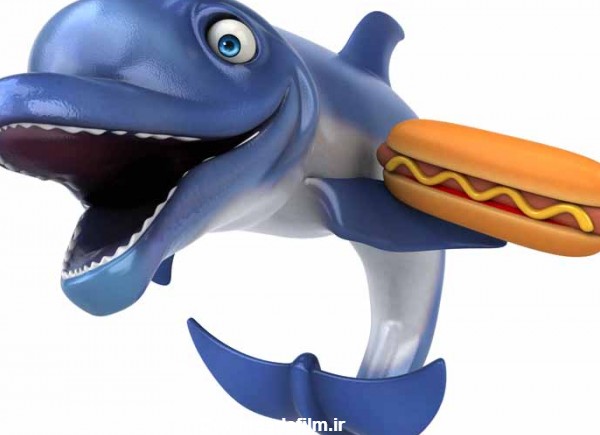 عکس کارتونی دلفین و ساندویچ