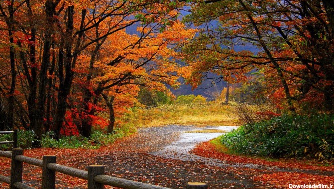 تصویر زیبای فصل پاییز - طبیعت