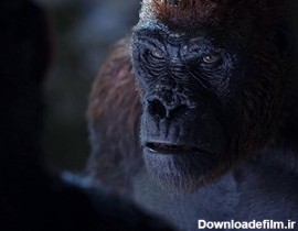 فیلم War for the Planet of the Apes - جنگ برای سیاره میمون‌ ها را ...