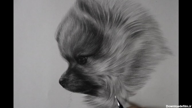 کشیدن سگ با سیاه قلم + فیلم