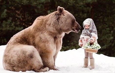 دوستی خرس 317 کیلوگرمی با دختر بچه روسی! +عکس