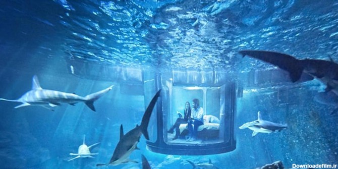 ترسناک ترین هتل جهان که باید بغل کوسه ها زیر آب بخوابی! + ویدئو