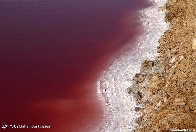 دریاچه نمک قم برای اولین بار سرخ شد/ عکس