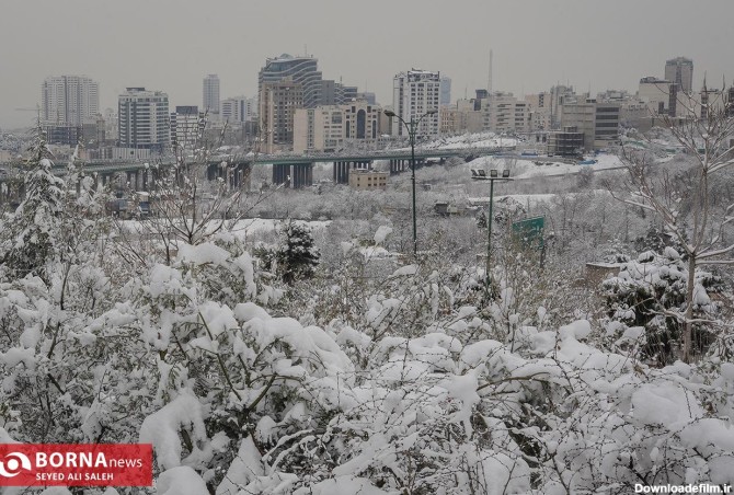 عکس/ حال و هوای تهران یک روز پس از بارش برف