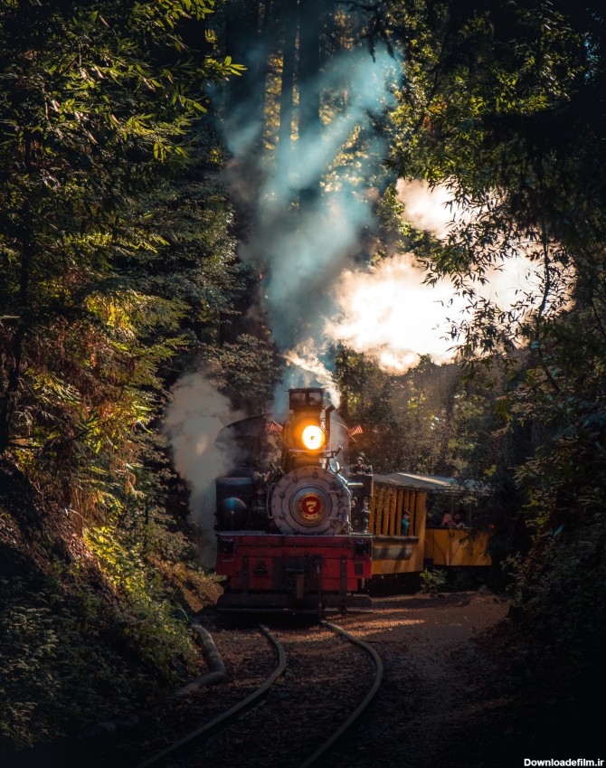 عبور قطار در دل جنگل