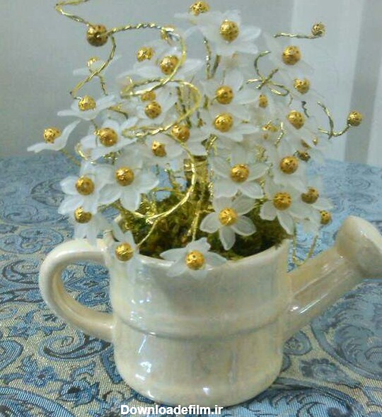 گل نرگس - عکس ویسگون