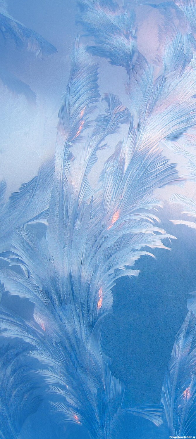 عکس زمینه اصلی شیائومی ردمی نوت 9 پرهای آبی پس زمینه | والپیپر گرام