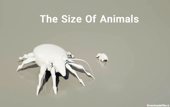 بزرگترین و کوچکترین حیوانات روی زمین | دنیای حیوانات