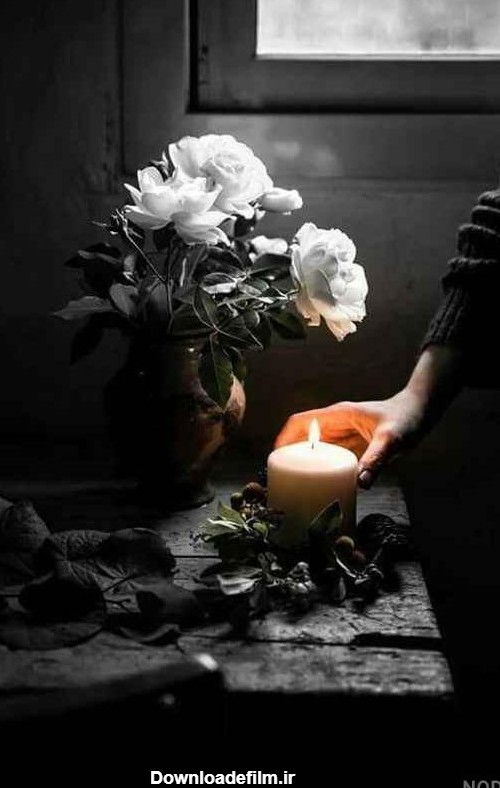 عکس گل و شمع