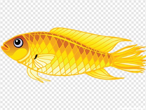 عکس کارتونی از ماهی