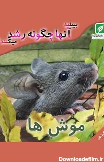 معرفی و دانلود رایگان کتاب ببینید موش ها چگونه رشد میکنند؟ | کتابراه