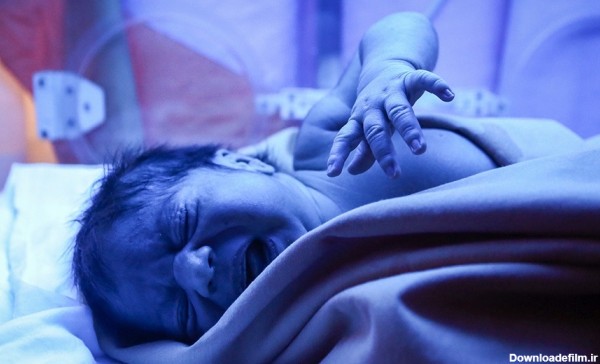 تصاویر | پیدا شدن نوزاد یک روزه در پدیده مشهد | نوزاد تحویل بهزیستی شد