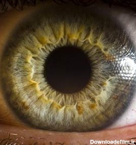 تصاویر: زیبایی‌های چشم یک انسان - تابناک | TABNAK