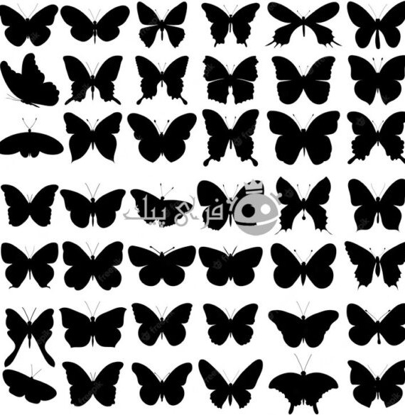 مجموعه وکتور، ایزوله، سیلوئت سیاه پروانه