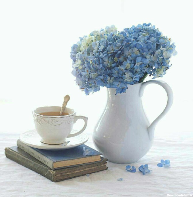 گلهای آبی